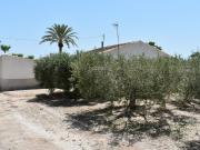 Masía en venta en Elche Elx, La Foia Daimés Asprella....