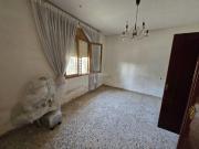 Masía en venta en Elche Elx, Valverde. Masías Elche. Masía en venta en Elche Elx, Valverde. Masías Elche.