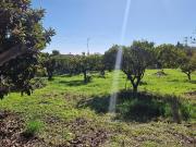 Masía en venta en Estepona, Los Llanos. EsteponaFinca...