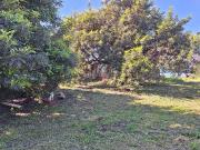 Masía en venta en Estepona, Los Llanos. EsteponaFinca...