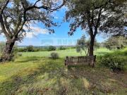 Masía en venta en Foixà. Finca exclusiva en venta en...