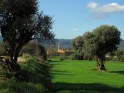 Masía en venta en Forallac. Casa rustica en venta. Masías.