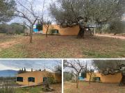 Masía en venta en Freginals. Casa de campo en venta en...