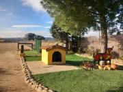 Casa en venta en Fuente el Saz de Jarama. VENTA DE FINCA...