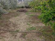 Masía en venta en Gallardos Los. Masías Gallardos.