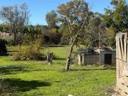 Masía en venta en Gibraleón. Finca en el pintao los...