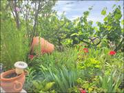 Masía en venta en Güímar, Centro. Masías.