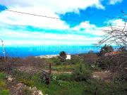 Masía en venta en Icod de los Vinos, La Vega El Amparo...