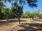 Masía en venta en Jerez de la Frontera, Pozoalbero....