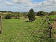 Masía en venta en Jerte. Mirabel cerca de Plasencia. Masías.