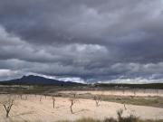 Masía en venta en Jumilla. Masías.