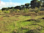 Masía en venta en Lepe. FINCA CON CASA. Masías.