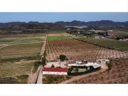 Masía en venta en Lorca, Escucha. CORTIJO EN LORCA. Masías. Masía en venta en Lorca, Escucha. CORTIJO EN LORCA. Masías.