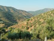 Masía en venta en Málaga, Olías. FINCA EN PLENA...