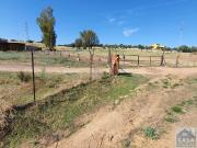 Masía en venta en Mérida, Oeste. MéridaFinca Rustica....