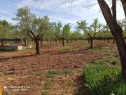 Masía en venta en Miguelturra. Masías.