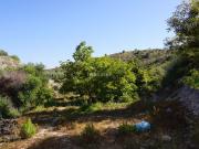 Masía en venta en Motril, Los Tablones La Garnatilla....