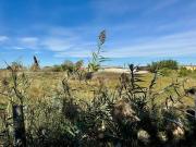 Masía en venta en Murcia, Alquerías. CASA CON TERRENO EN...