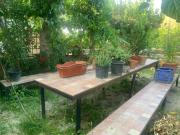 Masía en venta en Murcia, Alquerías. Casa con terreno en...