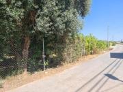 Masía en venta en Murcia, El Raal. Casa con terreno en...
