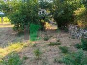 Masía en venta en Ourense, Polvorín. Masías.