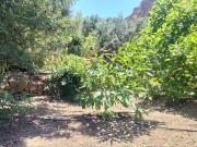 Masía en venta en Pinar El. Casa Rural en venta en...