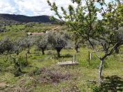 Masía en venta en Plasencia, Miralvalle Av. Virgen del...