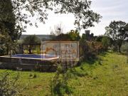 Chalet en venta en Puebla de Obando. Venta casa de campo...