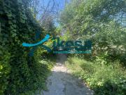 Masía en venta en Puebla del Río La. Masías Puebla del Río.