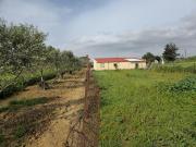 Masía en venta en Puerto Real, Centro. Casa en Finca...