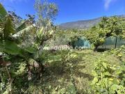 Masía en venta en Realejos Los, Palo Blanco. Masías...