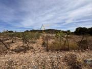 Masía en venta en Romana la. Casa de Campo con Bonitas...
