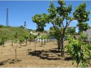 Masía en venta en Ronda, Partidas Norte. Casa de campo...
