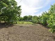 Masía en venta en Ronda, Partidas Norte. Finca de 2Ha...