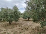 Masía en venta en Ronda, Partidas Sur. Casa de campo...