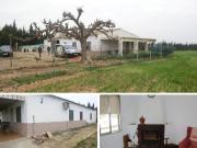 Masía en venta en Roquetes Costa Dorada. Masías.