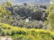 Masía en venta en Rute. Masías.