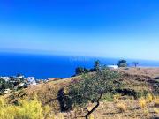 Masía en venta en Salobreña, Monte los Almendros El...