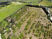 Masía en venta en San Martín del Tesorillo. Masías San...