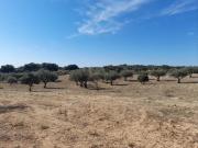 Casa en venta en San Vicente de Alcántara. ESTUPENDA...