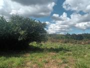 Masía en venta en Santa Comba. Casa Rural en Santa Comba...