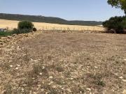 Masía en venta en Tarifa, Tahivilla. PARCELA RUSTICA CON...