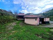 Masía en venta en Tineo. CASA, HORREO Y FINCA DE VENTA...