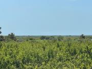 Masía en venta en Torreblanca. Masías.