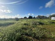 Masía en venta en Utrera, Pedanías Norte. PARCELA...