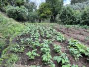 Masía en venta en Valencia de Alcántara. Finca con rio...