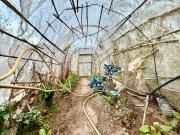 Masía en venta en Vega de San Mateo. Oportunidad única:...