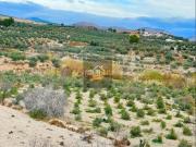 Masía en venta en Vélez Rubio. Casa Rural en venta en...