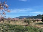 Masía en venta en Vélez Rubio. ESPECTACULAR FINCA EN...
