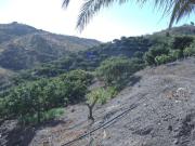 Masía en venta en Viñuela. Casa rústica en la Viñuela....